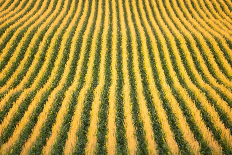 American Farms Are Ready for AI. Their Data Infrastructure Isn't.