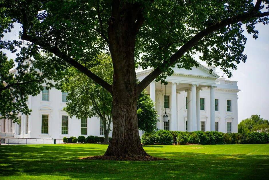 Anthropic Defies White House Over AI Regulations — Investors Are Watching — Politics World