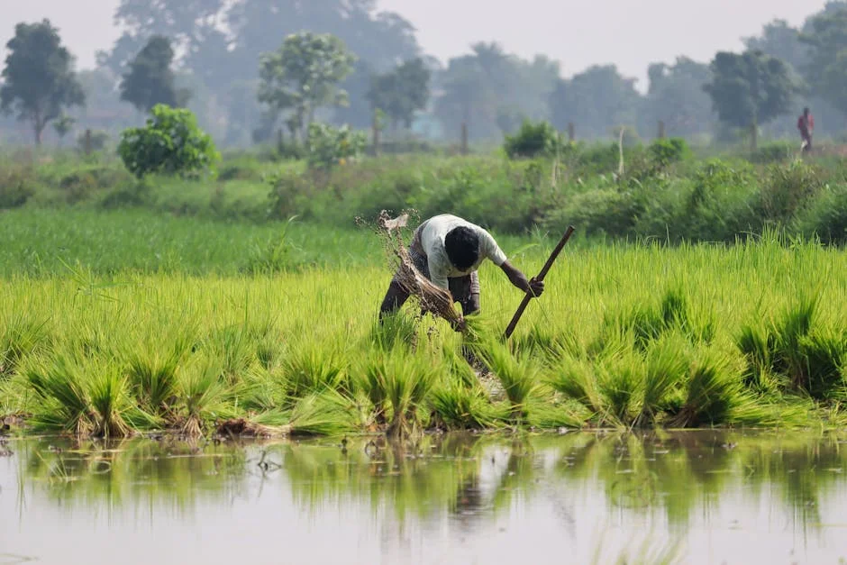 Bihar Government Moves Trigger Economic Uncertainty for Investors — Politics World