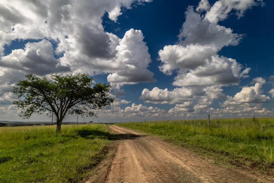 Cloud Costs Surge in Africa, Threatening Business Growth — Startups