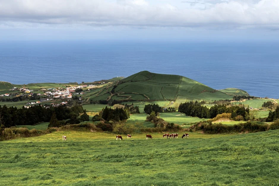 DBRS Upgrades Azores Credit Outlook — Investors Take Note