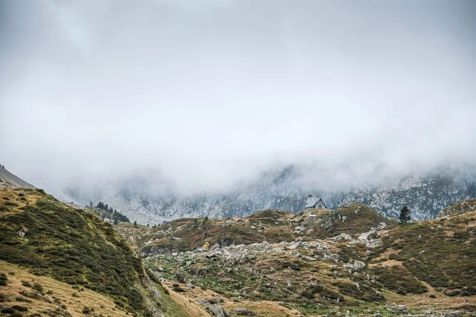 Esta Reveals Major Changes - Slams Portugal's Insurance Market With New Rules — Health Medicine