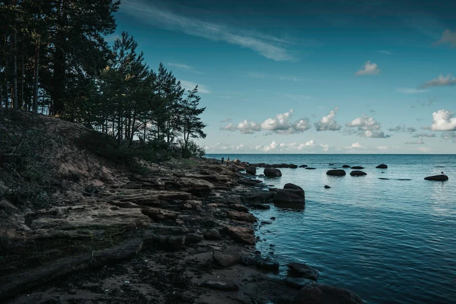 Estonia Seizes Ukrainian Drone — Baltic Markets React — Artificial Intelligence