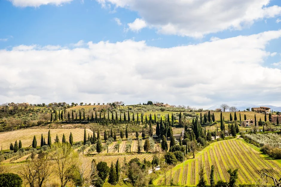 A Fresh Perspective on Current Affairs — BlurryBay