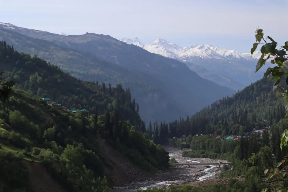 Google Reveals Tragic Death of Himachal Pradesh Accident Victim — Family in Shock — Health Medicine