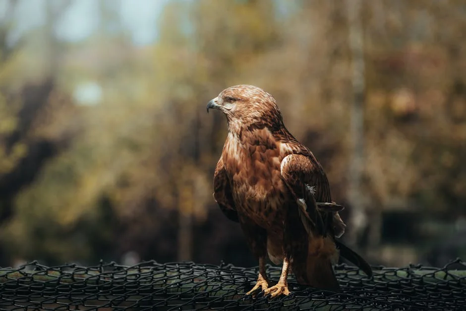 Knicks Edge Out Hawks in Thrilling Game — Impact on Ticket Sales and Merchandising — Politics World