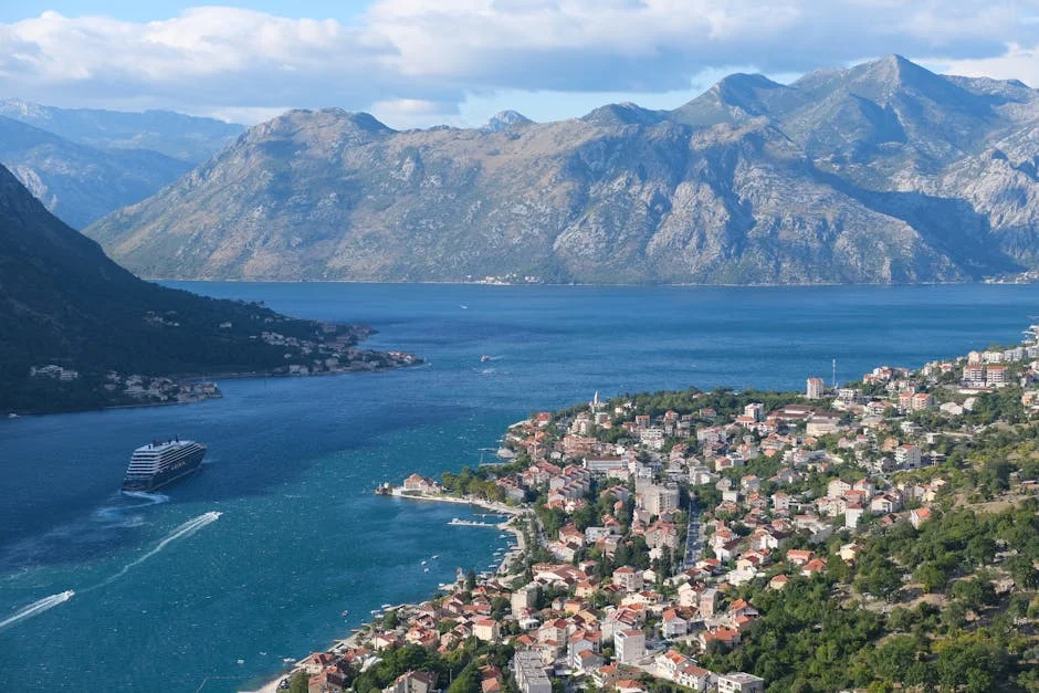 Montenegro Faces Economic Uncertainty as Manuel Pureza Criticizes Policy Shift — Startups