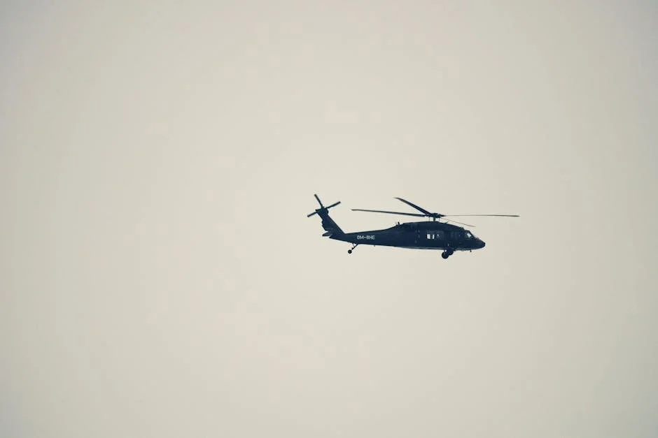 NATO Warns After Russian Drone Crashes in Romania—Economic Fallout Looms — Politics World