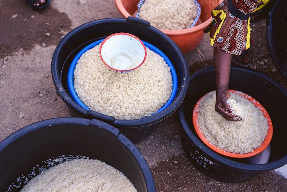 Nigerian Jollof Index Surges — Minimum Wage Earners Can Only Cook Two Pots — Cybersecurity