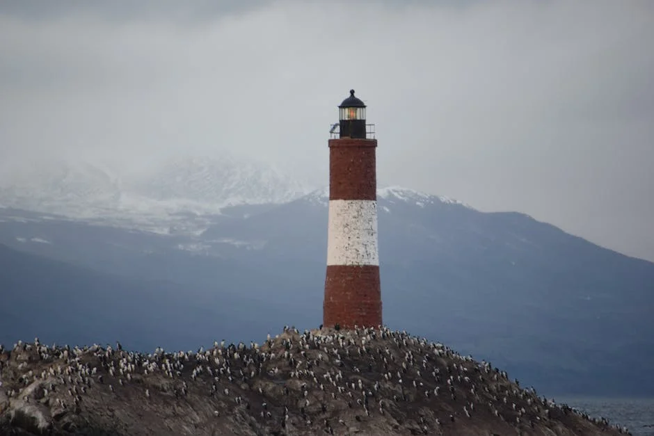 Portugal's Nunes Pushes for Debate on US State Limits on Defense Tech — Business Finance