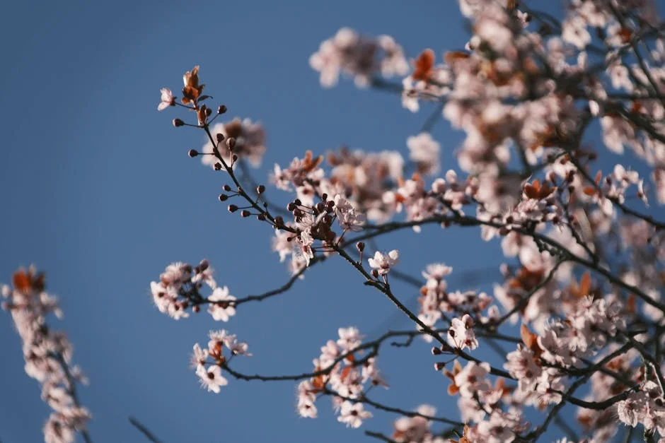 Portuguesa's Andebol Team Reacts to Penalty: "A Worrisome Precedent" — Artificial Intelligence
