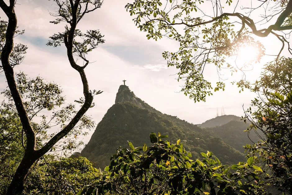 Rio de Janeiro Unveils Exhibition on 25 de Abril and 50 Years of the Constitution