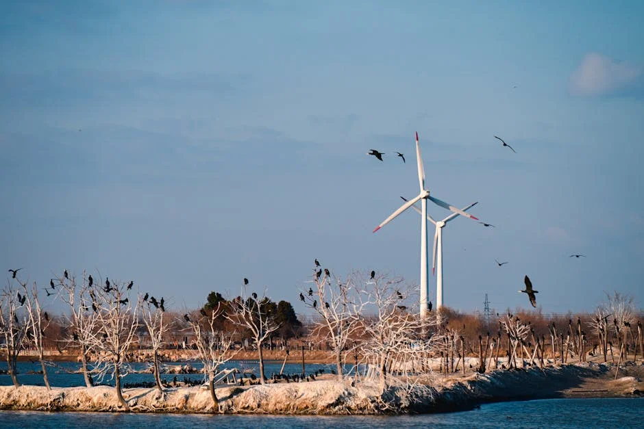 Salvaje's Rivalry Roars in Women's Soccer: Fisticuffs and Tussles Shake Up the Market — Science