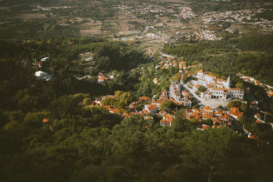 Sintra Denies Debts, Market Reaction Mixed