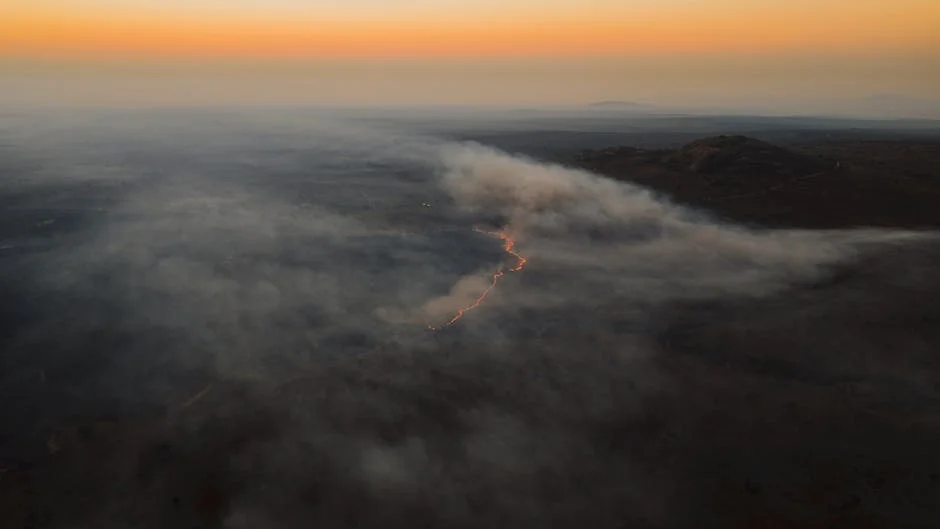 South Sudan's Fire Crisis Sparks Regional Economic Fears — Politics World