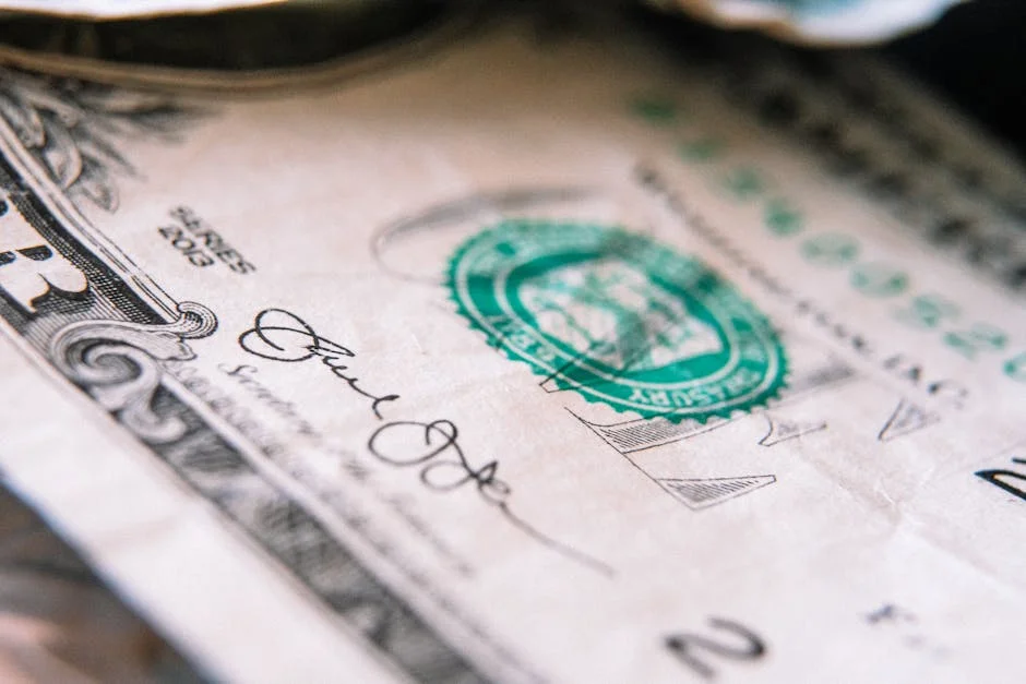 US Treasury Department Halts New Debt Issuance — Investors Brace for Market Shock — Environment