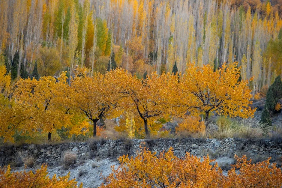 Vance's Pakistan Trip Derailed by Iran's Rejection of US Terms — Science