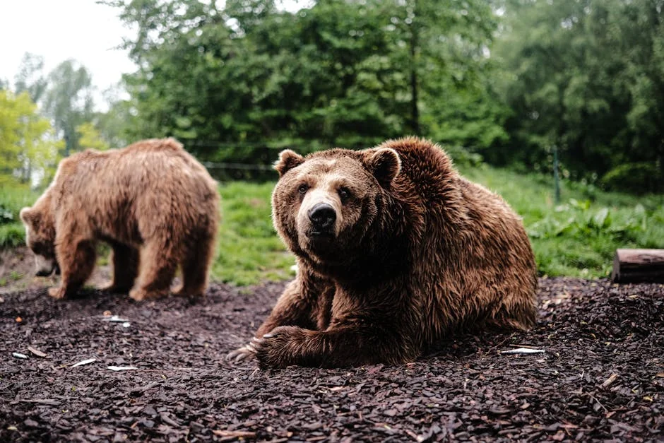 Veteran Strategist Warns Stock Bears Are Wrong Now — But Eyes June Reversal — Business Finance