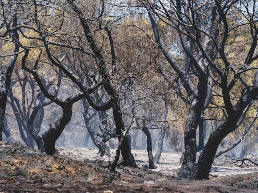 Weston-super-Mare Fire Exposes Supply Chain Fragility for US Investors — Telecommunications