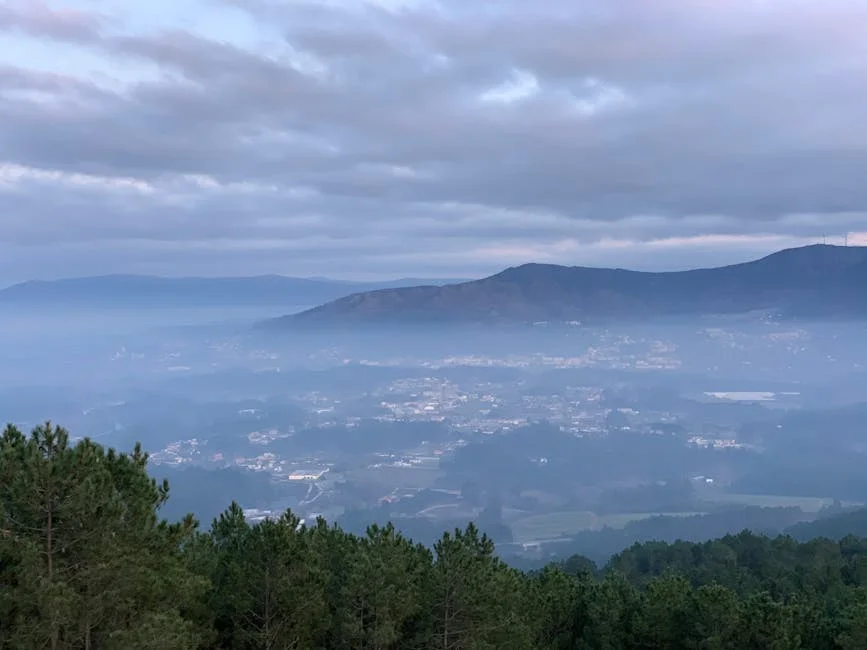 Why Minho Diário is a Must-Read — Advertorial