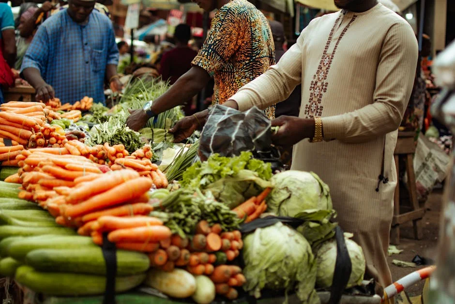 Zambia Cancels Global Summit — Markets React — Politics World